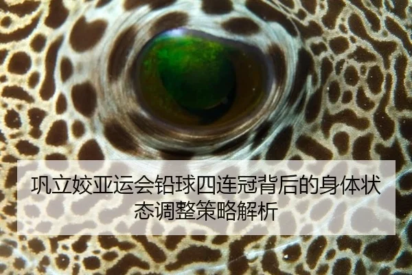 巩立姣亚运会铅球四连冠背后的身体状态调整策略解析