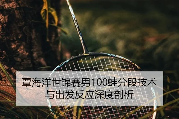 tan-hai-yang-shi-jin-sai-nan-wa-fen-duan-ji-shu-yu-chu-fa-fan-ying-shen-du-pou-xi-2-449.jpg
