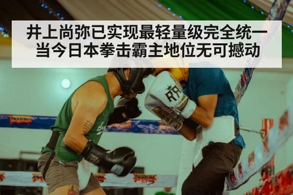 井上尚弥已实现最轻量级完全统一当今日本拳击霸主地位无可撼动