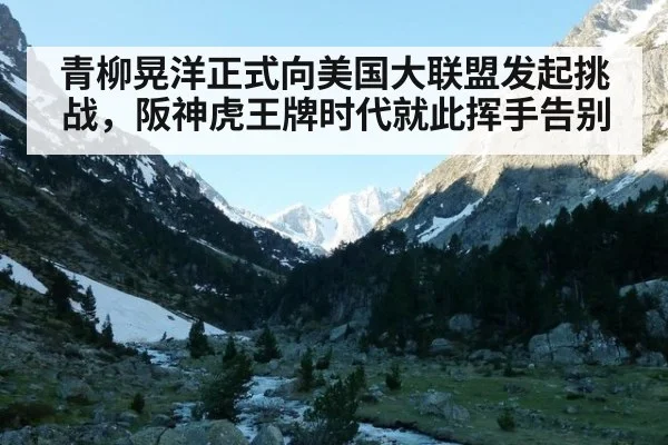 青柳晃洋正式向美国大联盟发起挑战,阪神虎王牌时代就此挥手告别